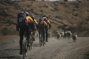 Team Calleva on bikes to the next stage