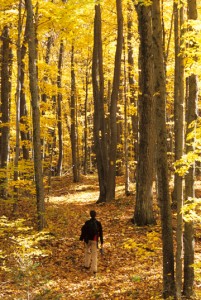 The east lake segment of the Ice Age Trail in Taylor County. Photo by Eric Sherman