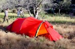 Set-up in backcountry meadow near Devil's Garden, Gila National Forest, NM.