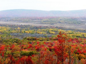 Caanan Valley WV