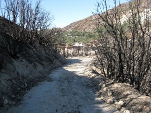 Fire roads provide ato hikers and wilderness tender trucks to fight the Station Fire.