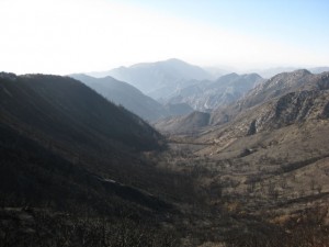 The California Station Fire destroyed many acres of the Angeles National Forest.