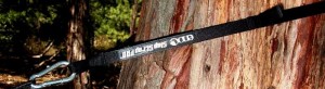 Eagle's Nest Slap Strap protects the tree trunk from rope burn while ensuring a solid anchor point for your hammock.