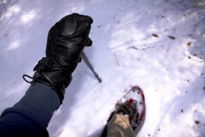 Kombi leather cold weather gloves worked great for snowshoeing.