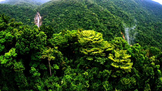 Mountain Pine Ridge. Photo courtesy Belize Tourism Board