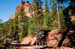 Second Left Hand Canyon trail. Photo by David Oare