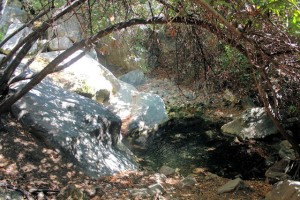 Lovely nooks and creeks entertain you on the descent 