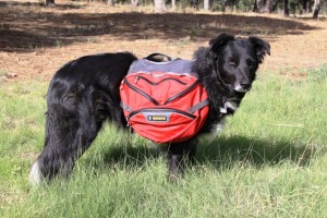 Ruffwear Palisade Dog Pack